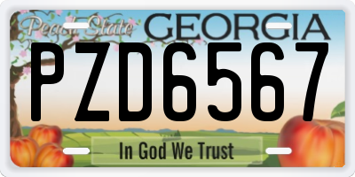 GA license plate PZD6567