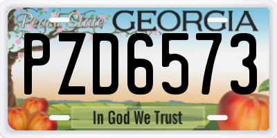 GA license plate PZD6573