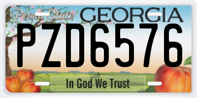 GA license plate PZD6576