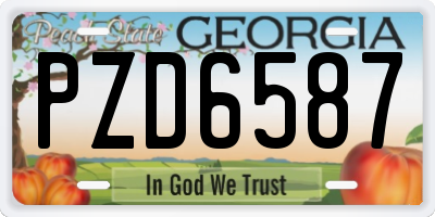 GA license plate PZD6587
