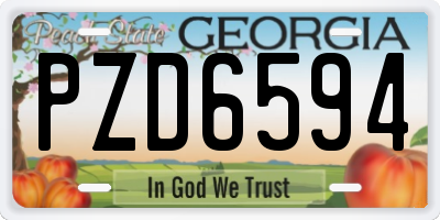 GA license plate PZD6594