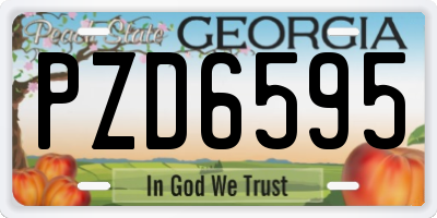 GA license plate PZD6595
