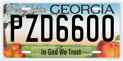 GA license plate PZD6600