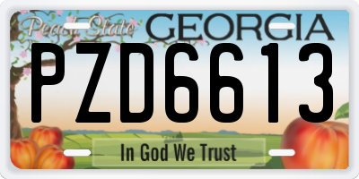 GA license plate PZD6613