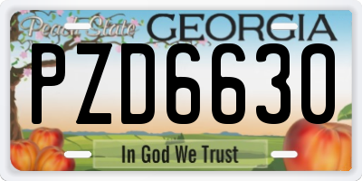 GA license plate PZD6630