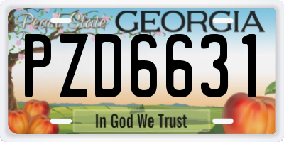 GA license plate PZD6631