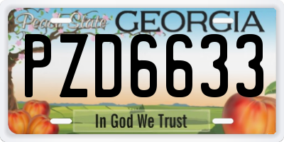 GA license plate PZD6633