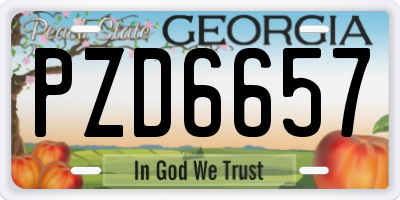 GA license plate PZD6657