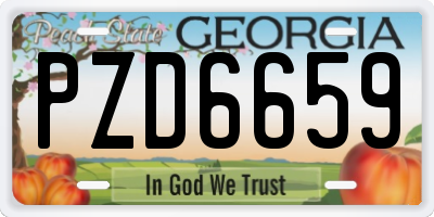 GA license plate PZD6659