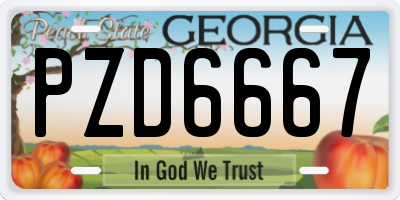GA license plate PZD6667