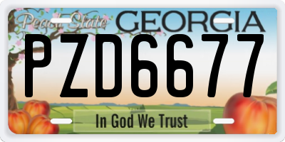 GA license plate PZD6677