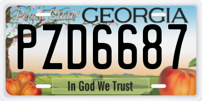 GA license plate PZD6687