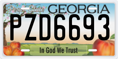 GA license plate PZD6693
