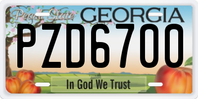 GA license plate PZD6700
