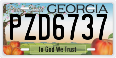 GA license plate PZD6737