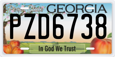 GA license plate PZD6738