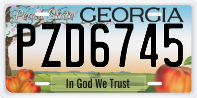 GA license plate PZD6745