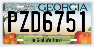 GA license plate PZD6751