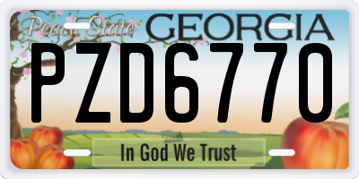 GA license plate PZD6770