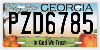 GA license plate PZD6785