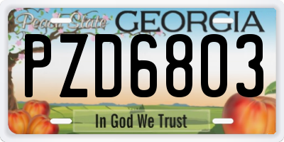GA license plate PZD6803