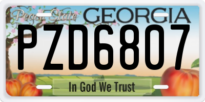 GA license plate PZD6807