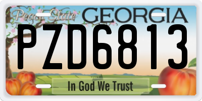 GA license plate PZD6813