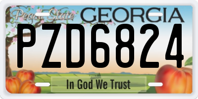 GA license plate PZD6824