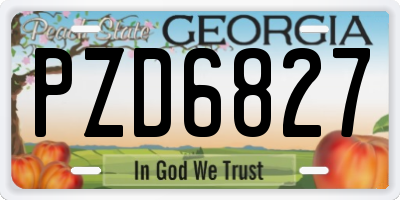 GA license plate PZD6827