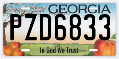 GA license plate PZD6833