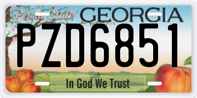 GA license plate PZD6851