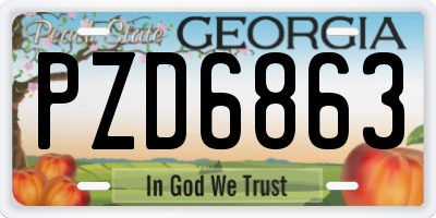 GA license plate PZD6863