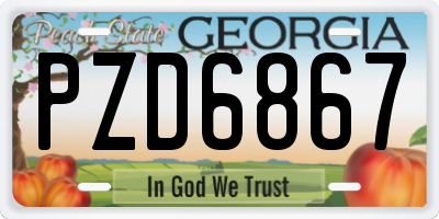 GA license plate PZD6867