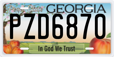 GA license plate PZD6870