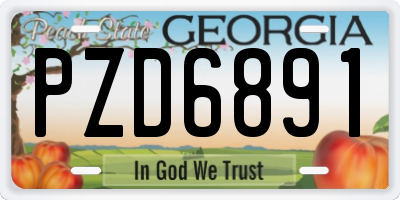 GA license plate PZD6891