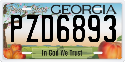 GA license plate PZD6893