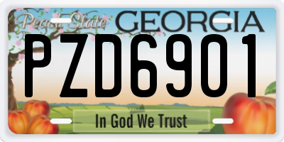 GA license plate PZD6901