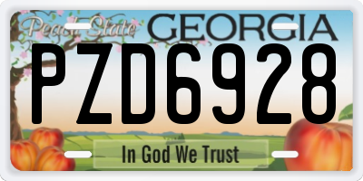 GA license plate PZD6928