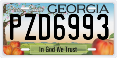 GA license plate PZD6993