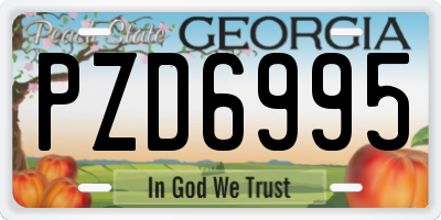 GA license plate PZD6995
