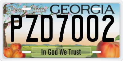 GA license plate PZD7002