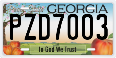 GA license plate PZD7003