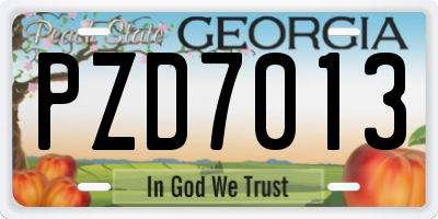 GA license plate PZD7013