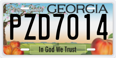GA license plate PZD7014