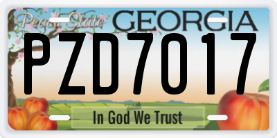 GA license plate PZD7017