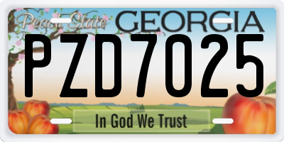 GA license plate PZD7025