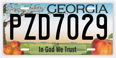 GA license plate PZD7029