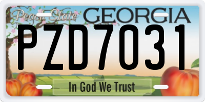 GA license plate PZD7031