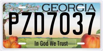 GA license plate PZD7037