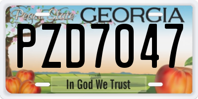 GA license plate PZD7047
